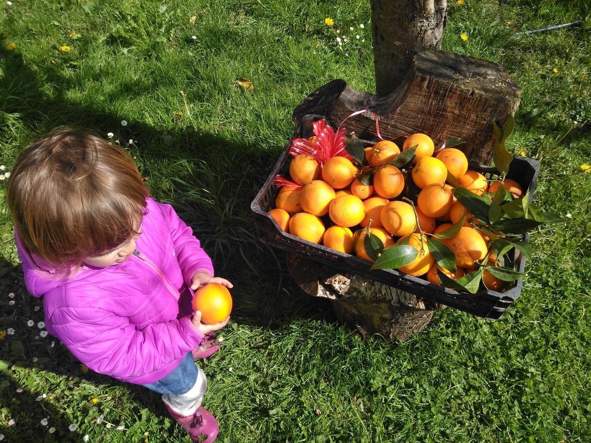 Agroturismo La Casona De Belmonte Ovinana  Екстериор снимка
