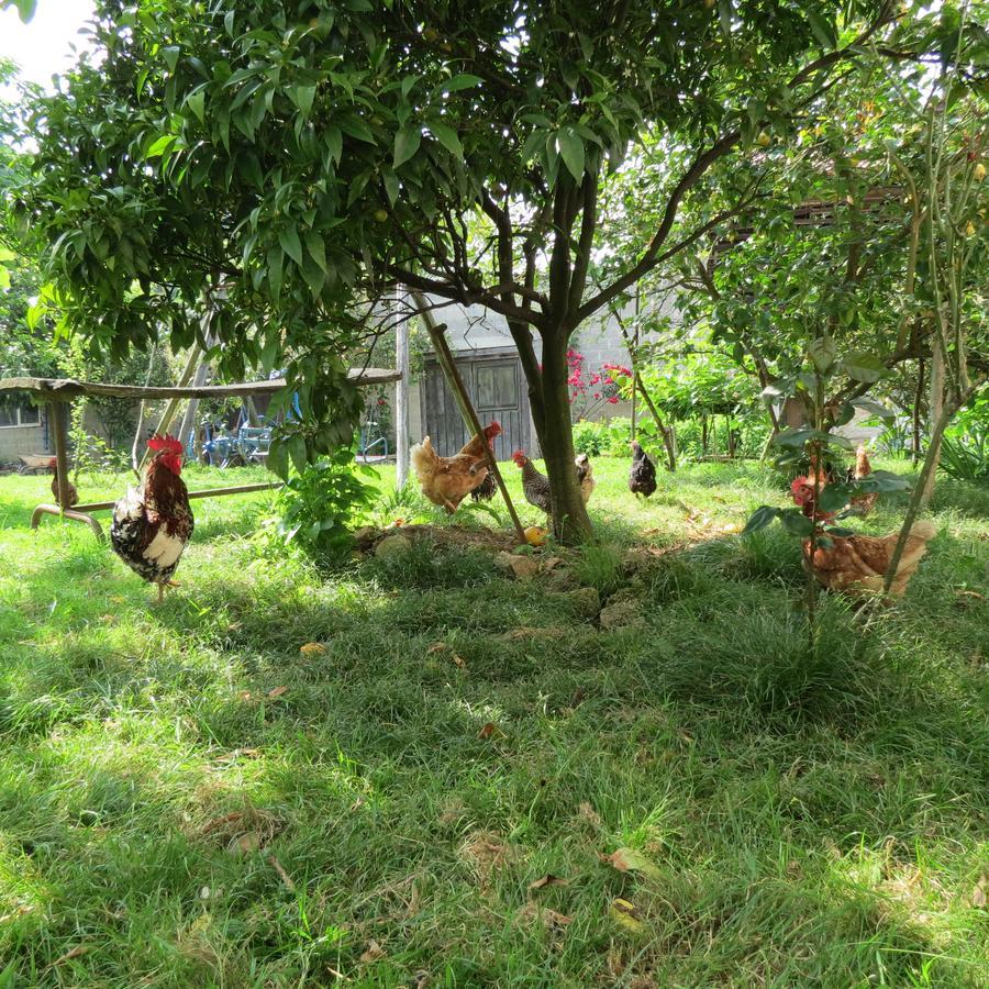 Agroturismo La Casona De Belmonte Ovinana  Екстериор снимка