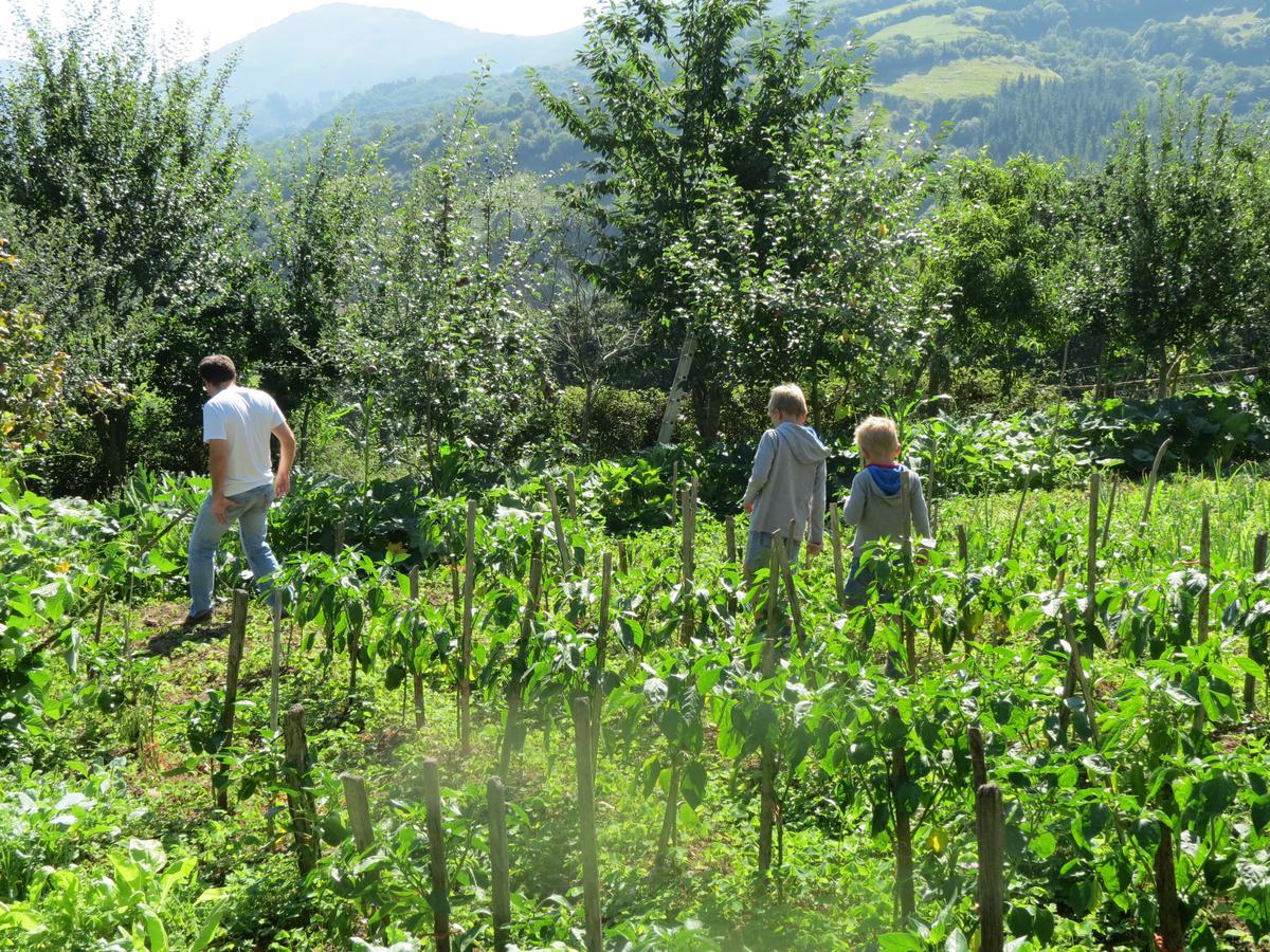 Agroturismo La Casona De Belmonte Ovinana  Екстериор снимка